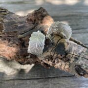 leaf-earrings-hoop-silver-back-sandrakernsjewellery leaf-earrings-hoop-silver-back-sandrakernsjewellery
